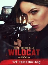 Wildcat (2025) HDRip Telugu Dubbed Full Movie Watch Online Free